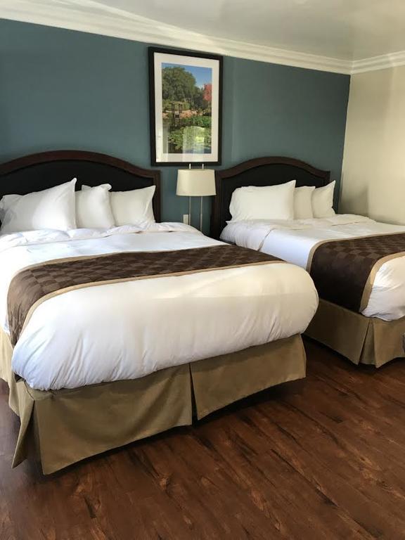 Rex Motel Вентура Экстерьер фото